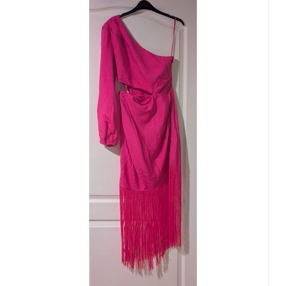 NEW! & Other Stories | Fringed One-Shoulder Midi Dress in Pink - Picture 5 of 13